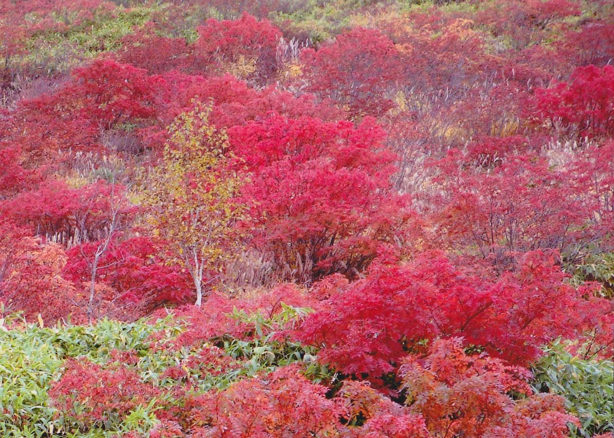 Ryokan Shiga Kogen Shiga Sunvalley Yamanouchi (Nagano)