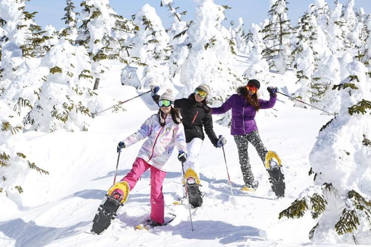 Shiga Kogen Shiga Sunvalley Yamanouchi (Nagano)